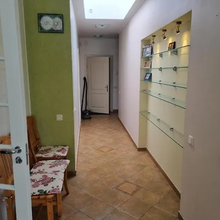 Neries Livingpalanga * Palanga